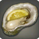 Oyster Simular