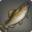 Warmwater Trout Icon
