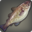 Purpure Cod Icon