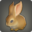 Dwarf Rabbit Icon