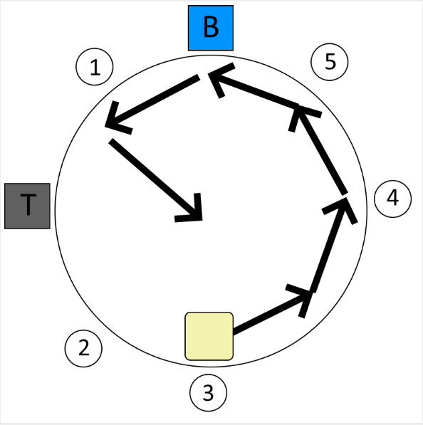 Octet