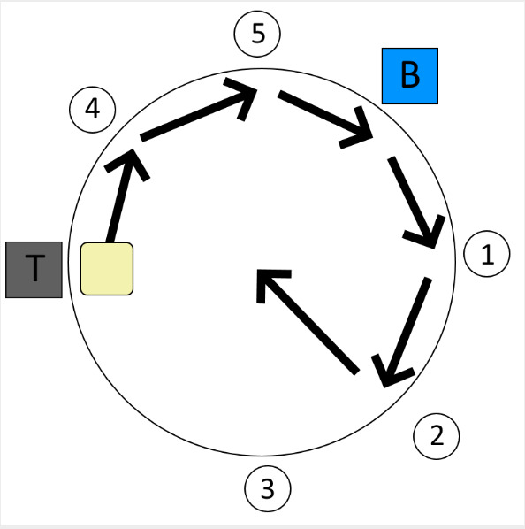 Octet