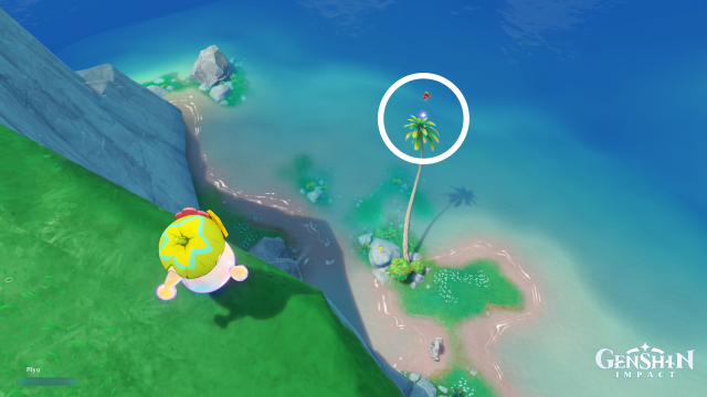 Easybreeze Holiday Resort Oculus Collectables: ##9 From the waypoint, head south and indwell the Asha on the coast. Pull yourself to the top of the tree and jump