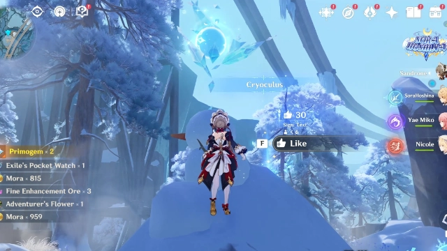 Everfrozen Earth Cryoculus Collectables: #2 In the middle of the hot spring