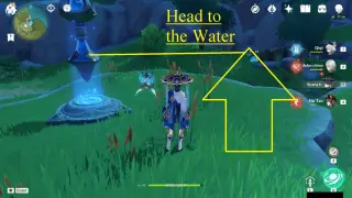 Windwail Highland Calla Lily Farming Route: #How to reach Node #8 from the Teleport