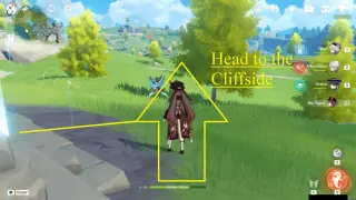Windwail Highland Calla Lily Farming Route: #How to reach Node #16 from the Teleport