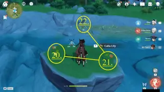 Windwail Highland Calla Lily Farming Route: #Nodes #20, #21, and #22