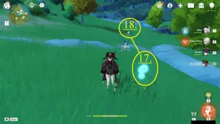 Ridge Watch Dandelion Seed Farming Route: #Nodes #17 and #18