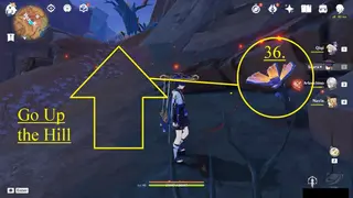 East Atocpan Skysplit Gembloom Farming Route: #Node #36