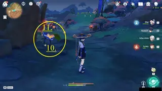 Fallingstar Fields Skysplit Gembloom Farming Route: #Nodes #10 and #11