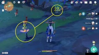 Fallingstar Fields Skysplit Gembloom Farming Route: #Nodes #9 and #10