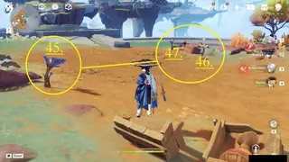 Sea of Shifting Sentience Skysplit Gembloom Farming Route: #Nodes #45, #46, and #47
