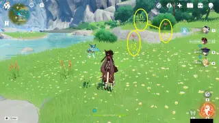 Windrise Windwheel Aster Farming Route: #Nodes #15, #16, and #17