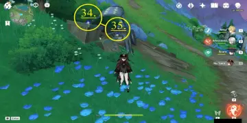 Fontaine Wolfhook Farming Route: #Nodes #34 and #35