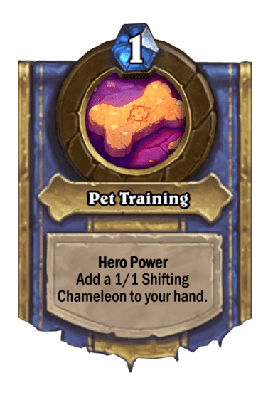 Pet Training