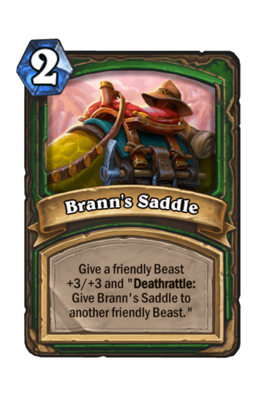 Brann's Saddle