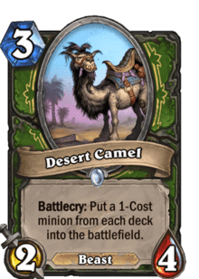 Desert Camel