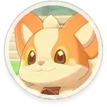 Camcorgi Guide and Overview