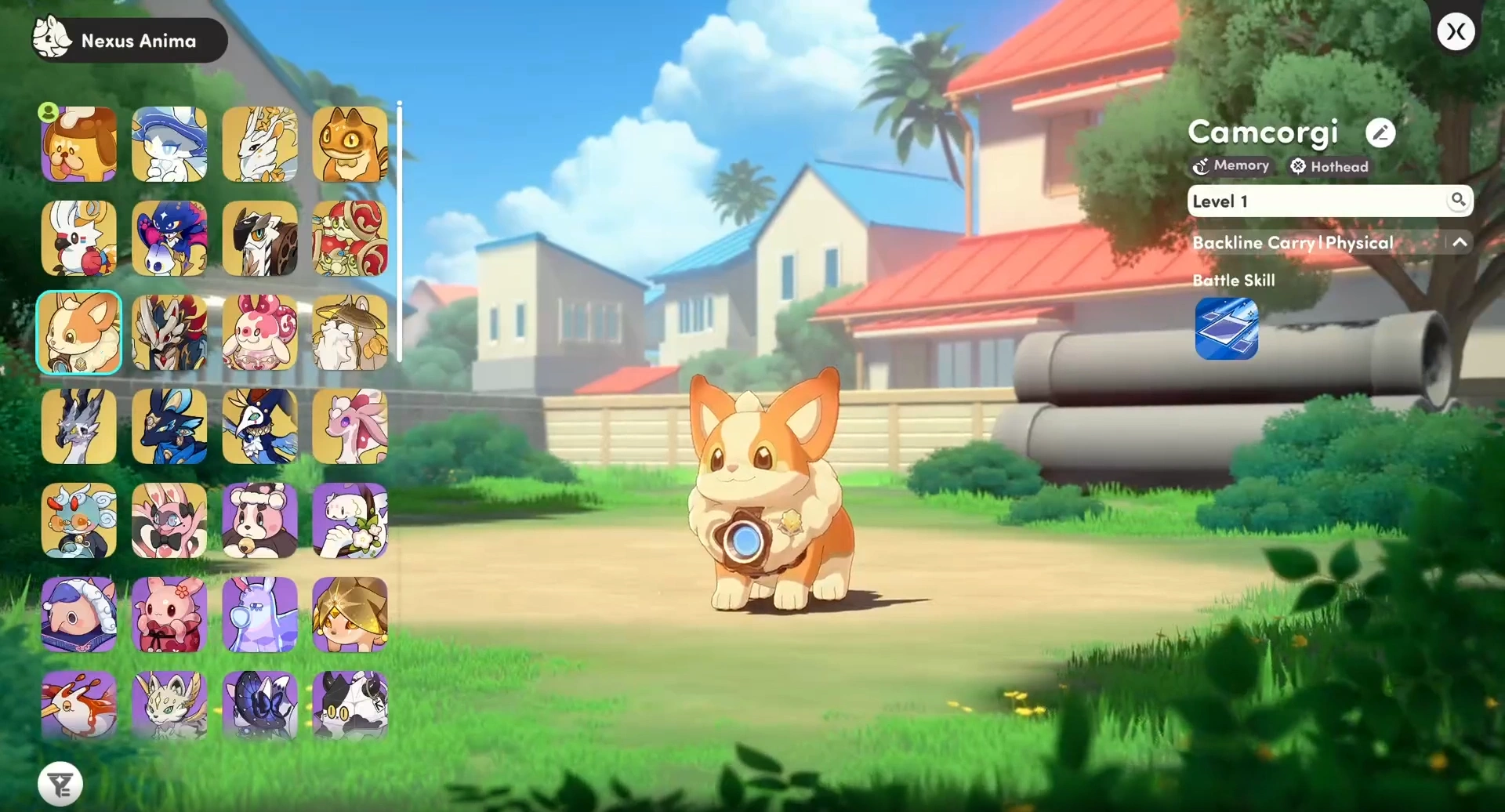 Camcorgi