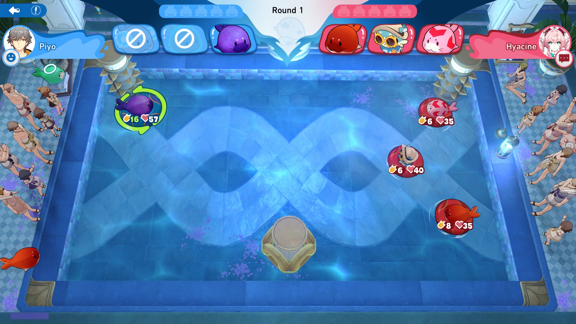 Arena Information