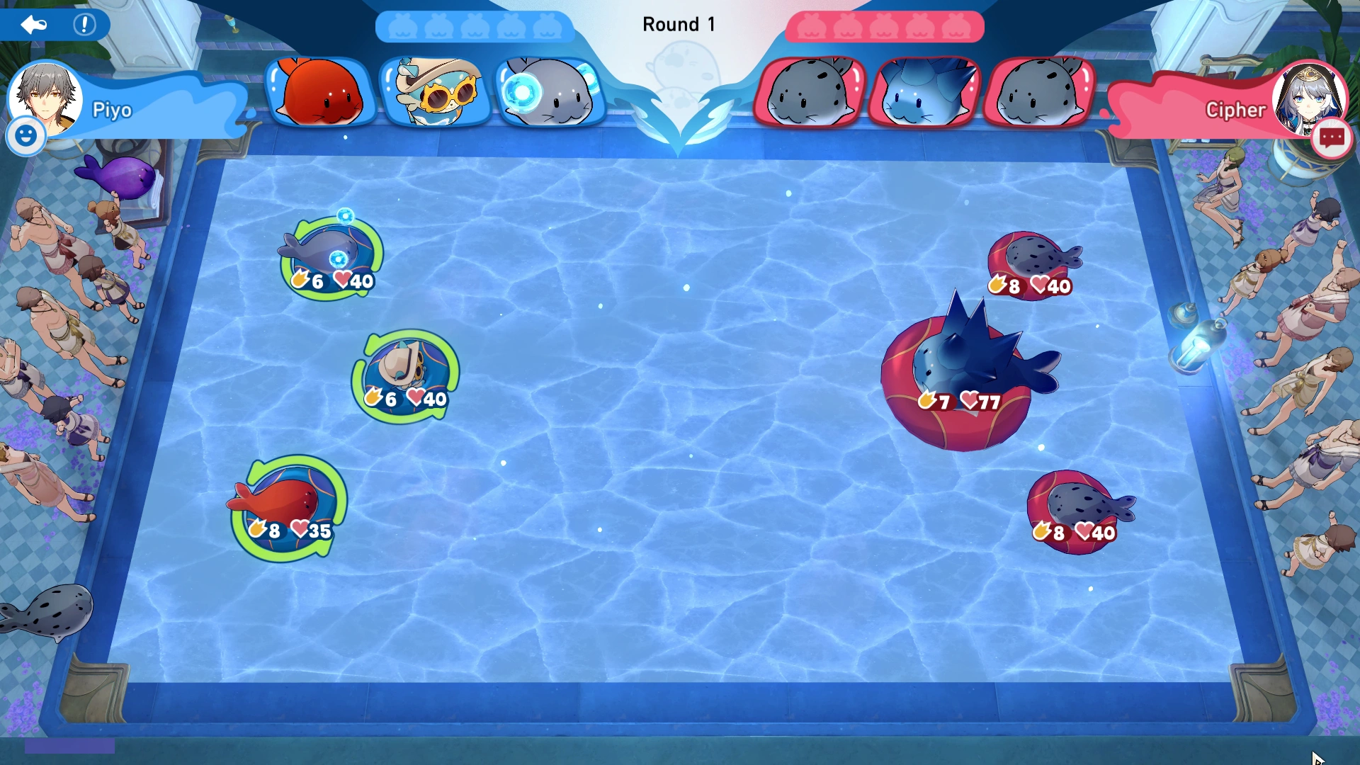 Arena Information
