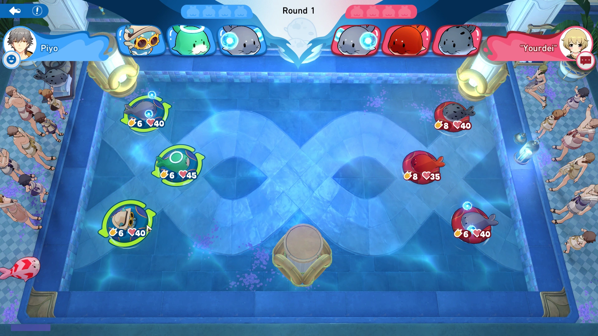 Arena Information