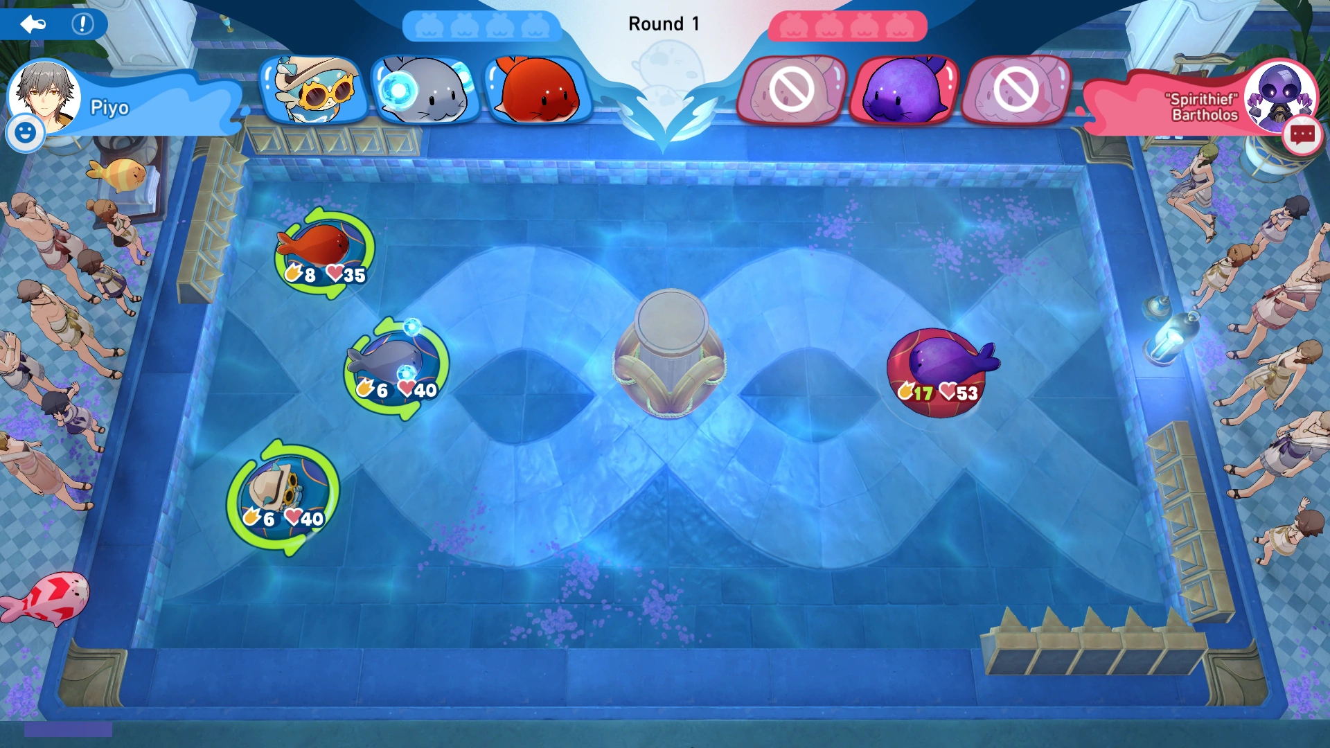 Arena Information