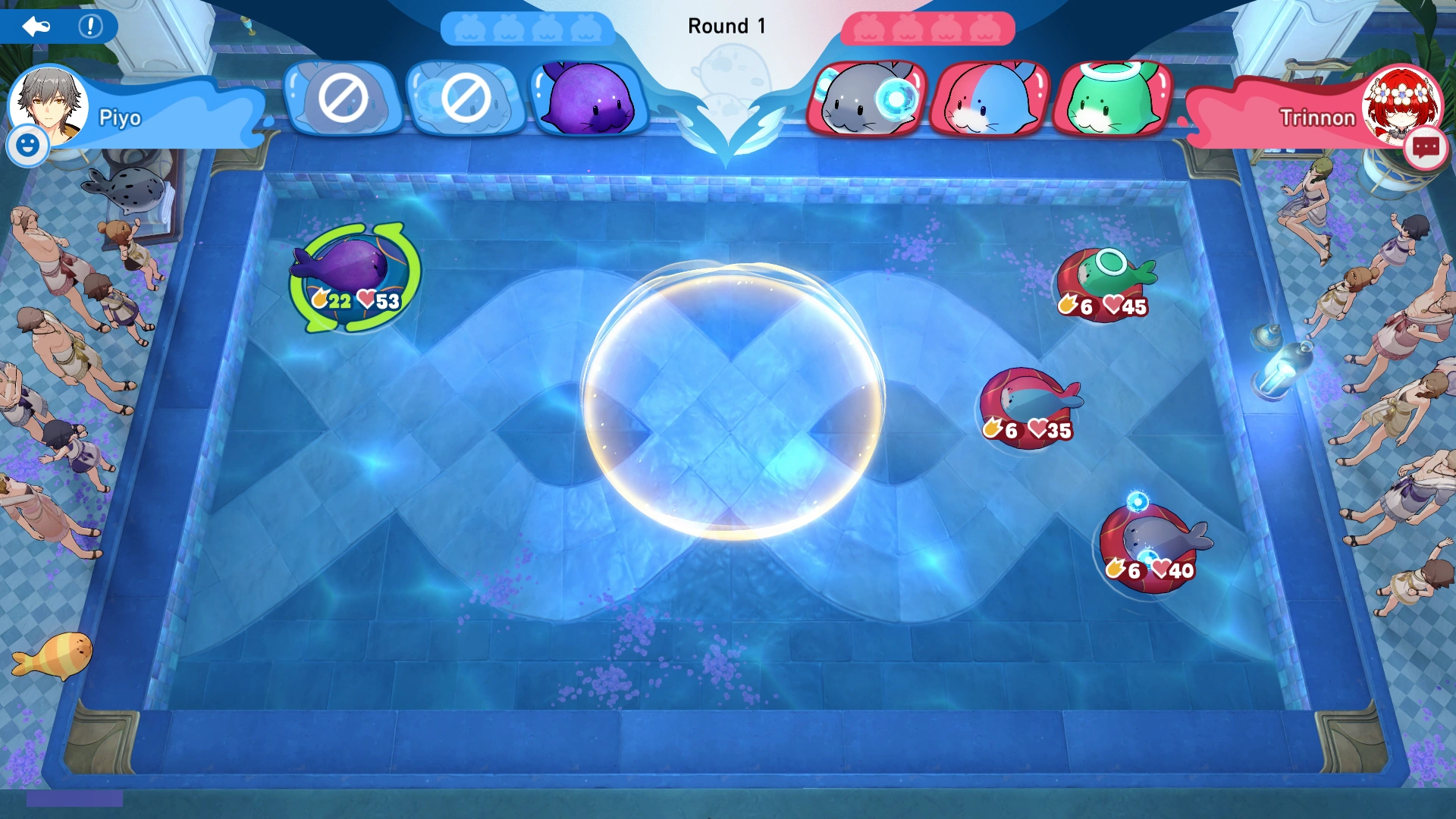 Arena Information