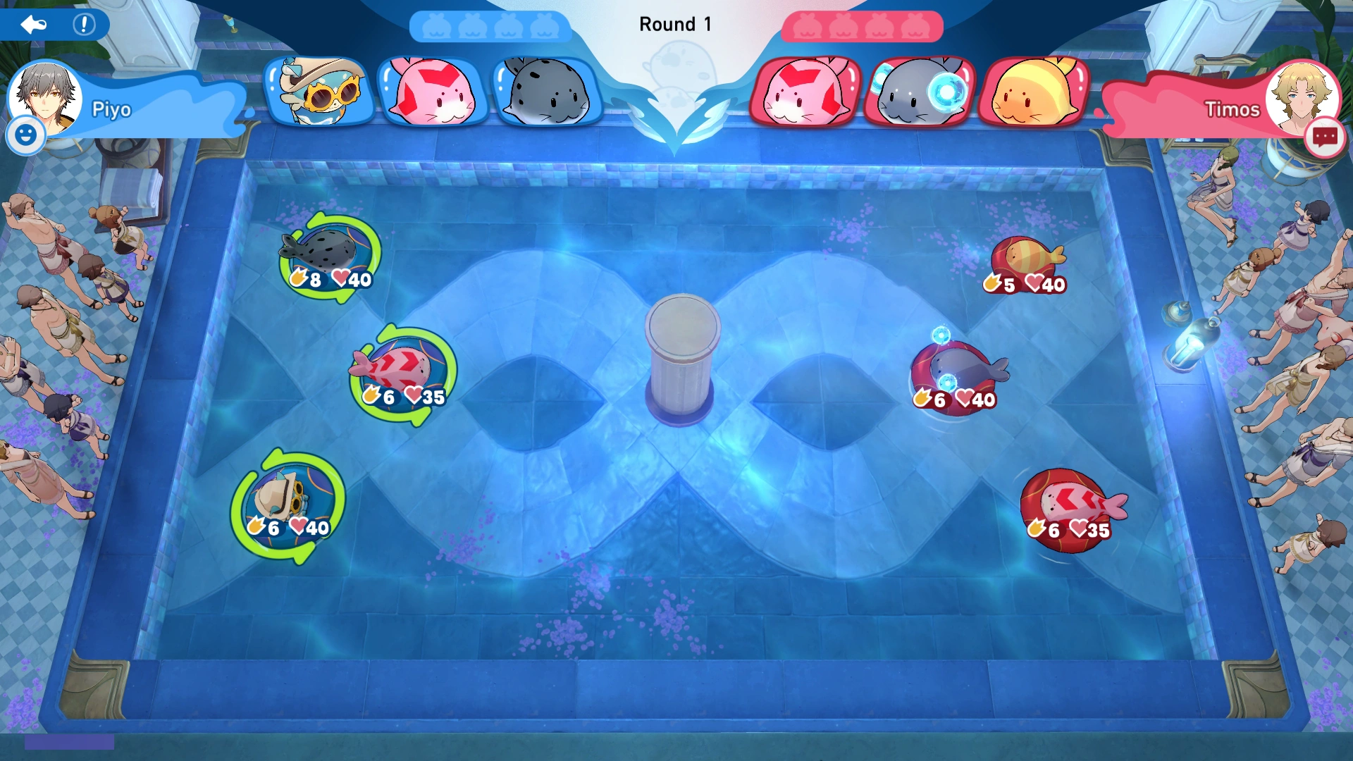 Arena Information