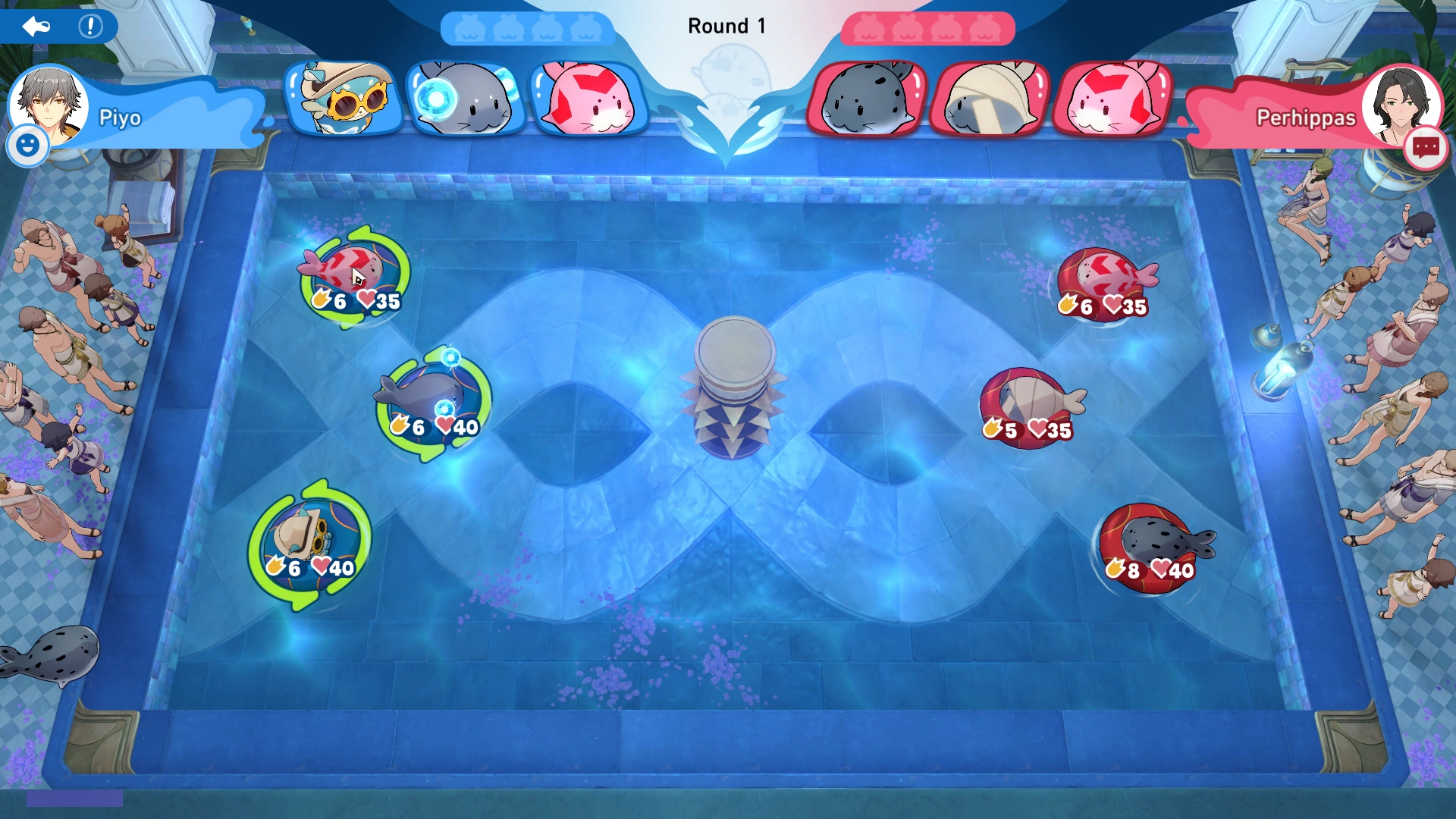 Arena Information