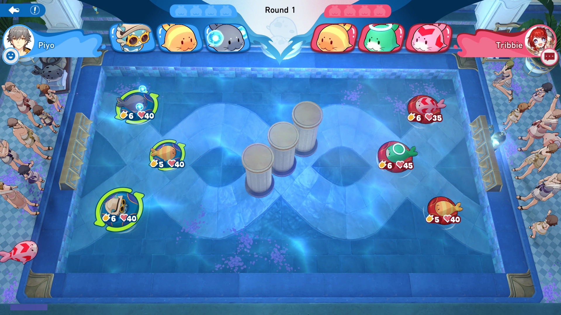 Arena Information