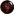 Grand Hunger of Dragons Icon