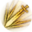 Spectral Explosion Icon
