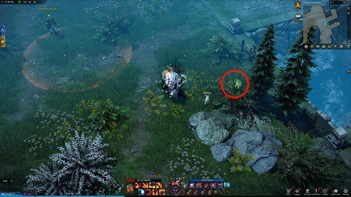 Island of Time Mokoko Seed 2+3