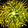 Desecrated Ground Icon