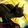 Lynx Rush Icon