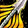 Steady Focus Icon