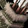 Wild Quiver Icon