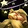 Glyph of Blackout Kick Icon