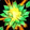 Spinning Fire Blossom Icon