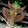 Windwalk Totem Icon
