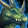 Euphoria Icon