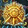Temple of the Jade Serpent: Gold Icon