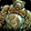 Anatomical Dummy Icon