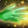 Healing Surge Icon