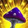 Wild Mushroom: Bloom Icon