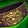 Klaxxi Lash of the Winnower Icon