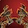 Malevolent Gladiator's Longbow Icon