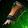 Hive Protector's Gauntlets Icon