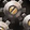 Whirring Bronze Gizmo Icon